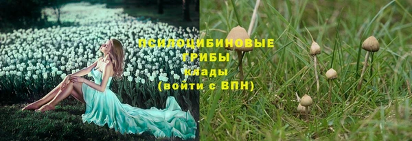 соль ск Осташков