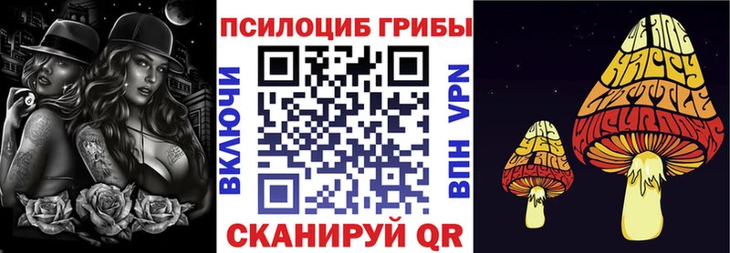 цены наркотик  Курганинск  Псилоцибиновые грибы Psilocybe 