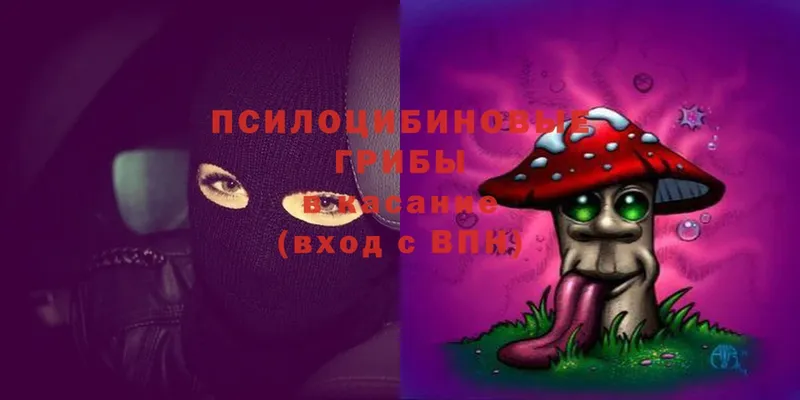 Галлюциногенные грибы Magic Shrooms  Курганинск 