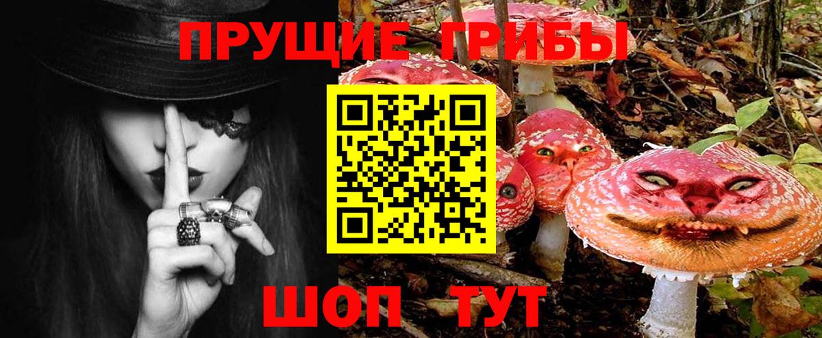 Галлюциногенные грибы мухоморы  Вход с VPN  Курганинск  Псилоцибиновые грибы GOLDEN TEACHER 